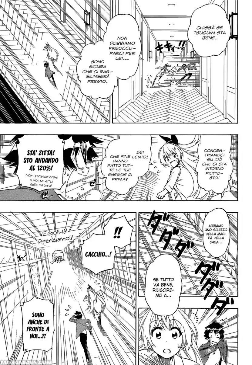 Nisekoi Capitolo 186 page 4