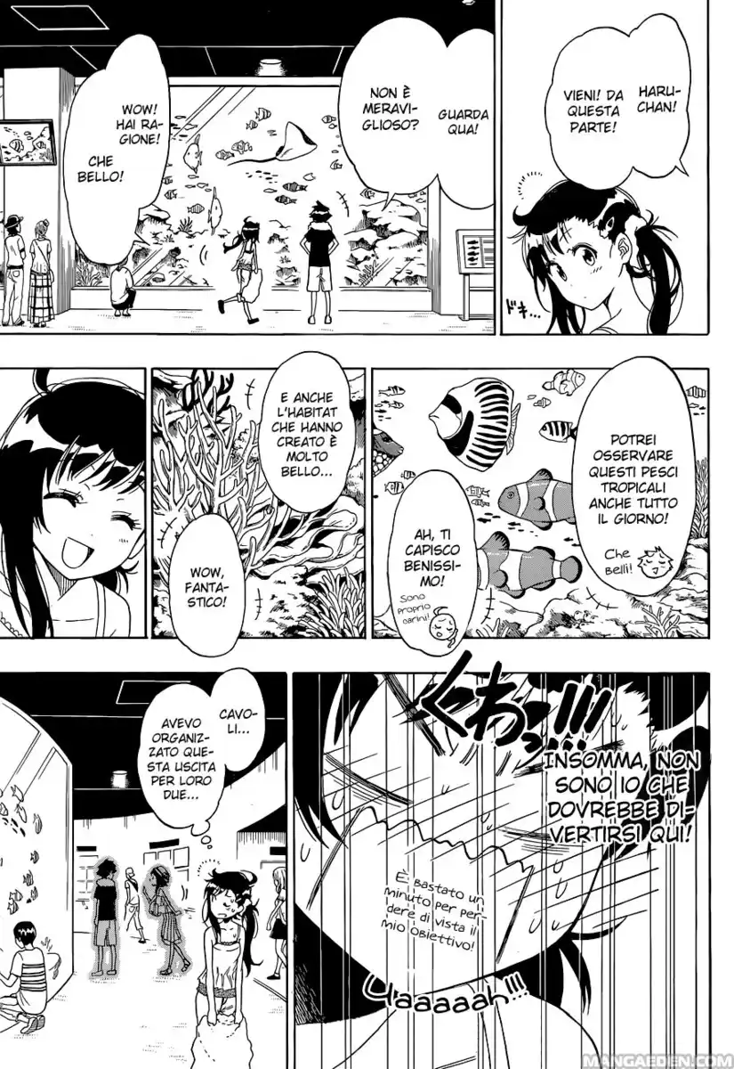 Nisekoi Capitolo 110 page 14