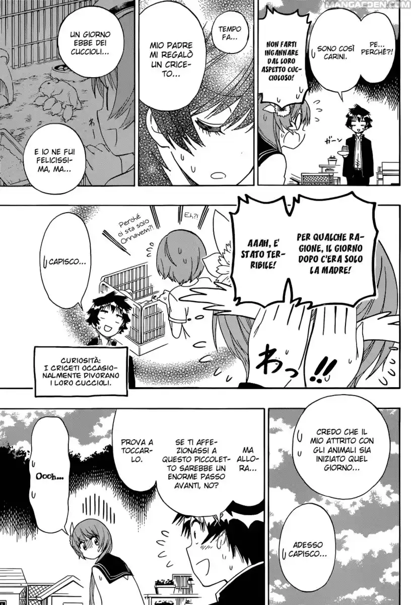 Nisekoi Capitolo 142 page 16