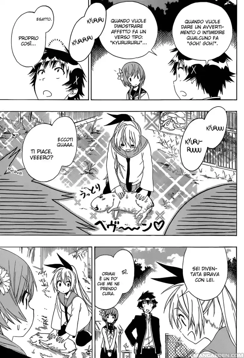 Nisekoi Capitolo 142 page 8