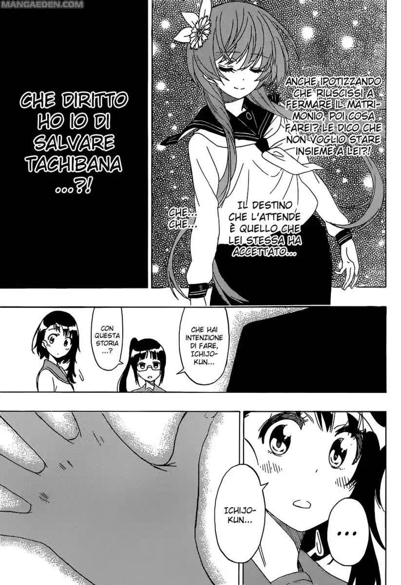 Nisekoi Capitolo 182 page 14