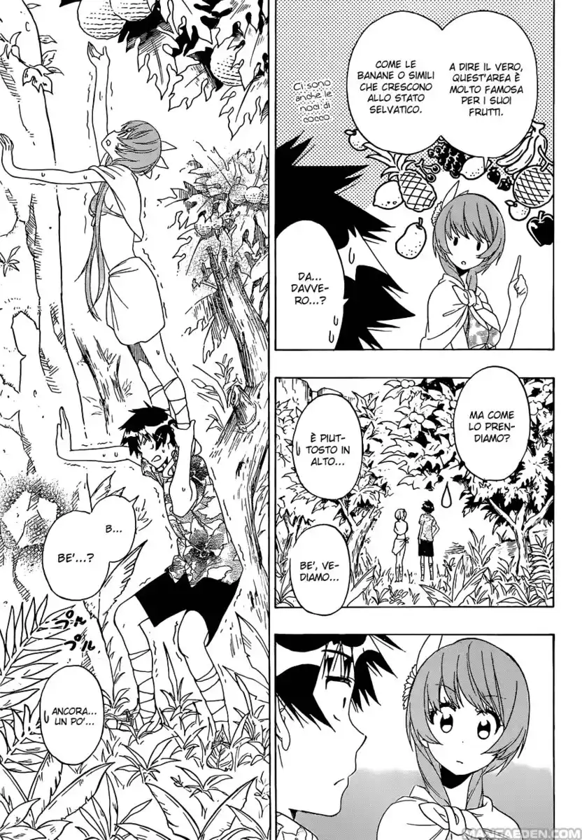 Nisekoi Capitolo 170 page 14