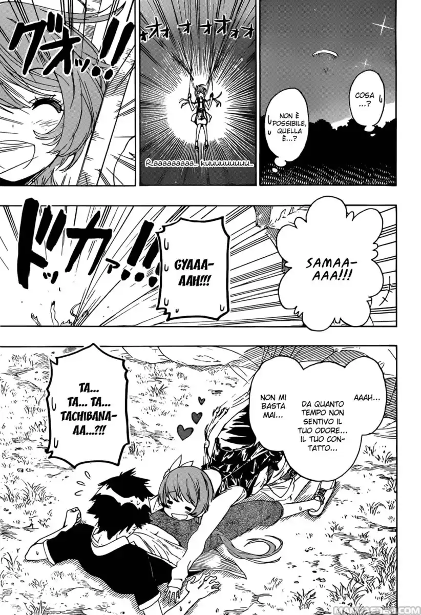 Nisekoi Capitolo 219 page 12