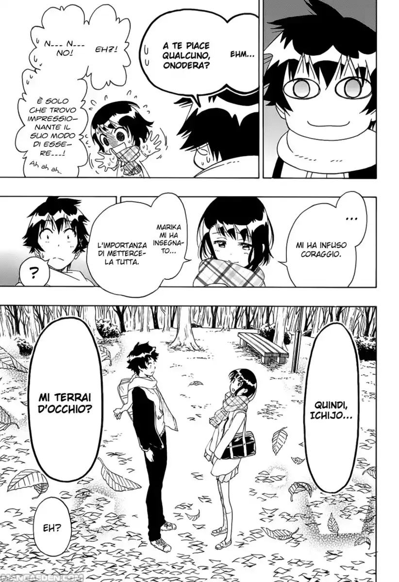 Nisekoi Capitolo 196 page 19