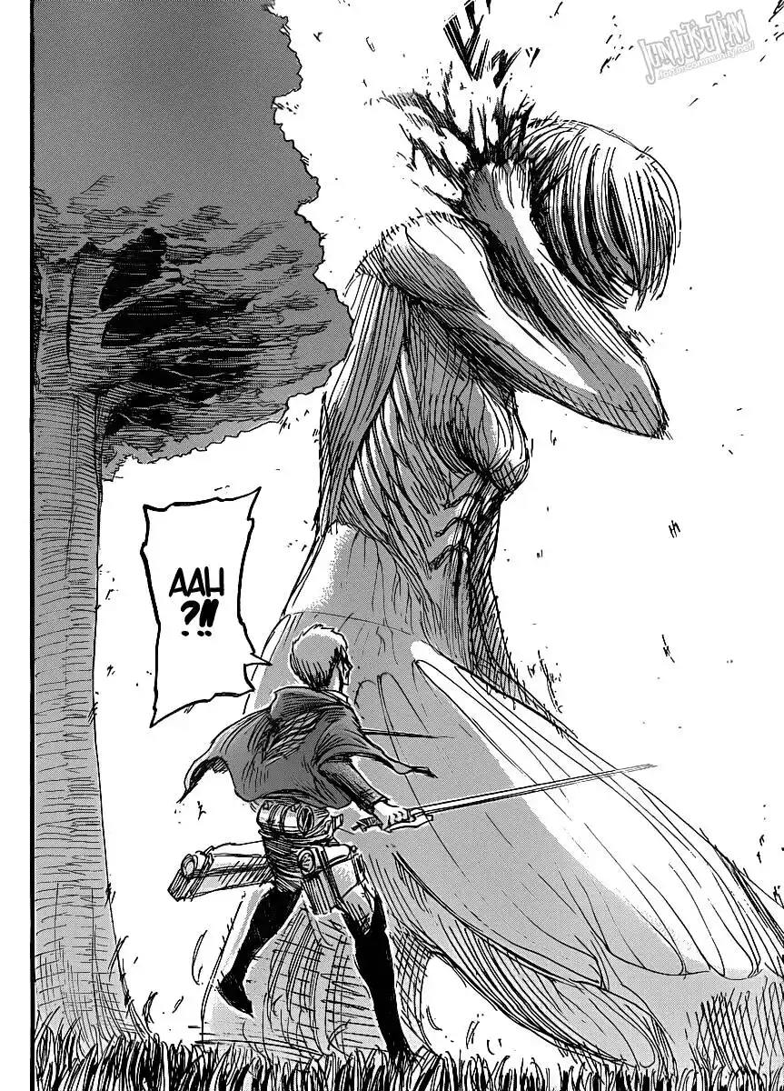 43