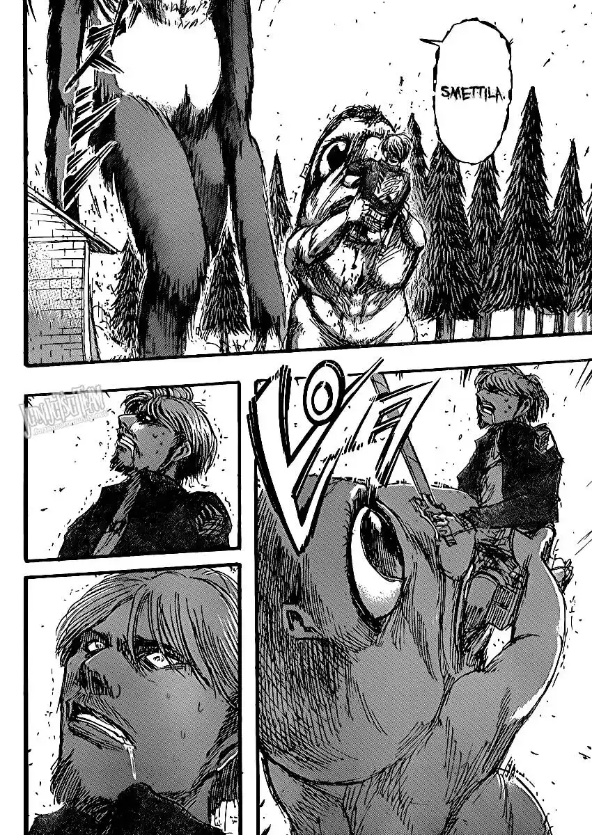 33