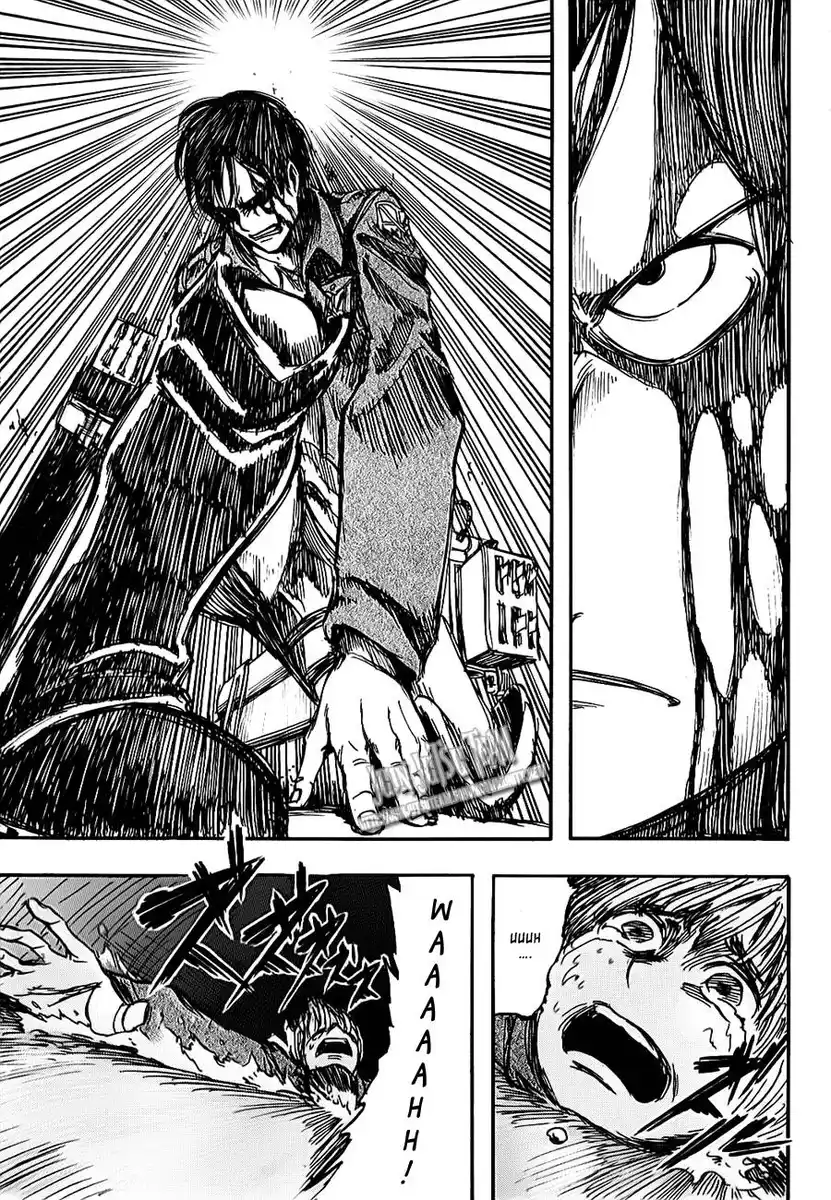 44