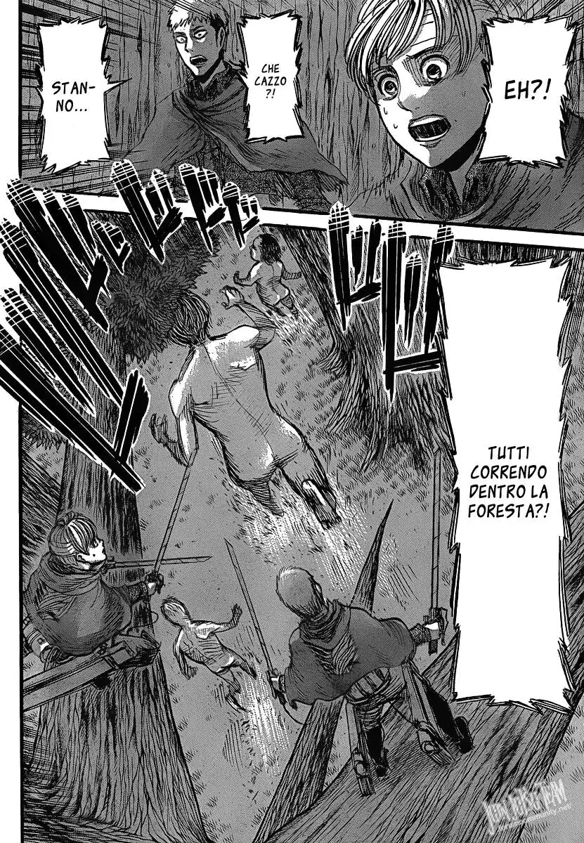 33