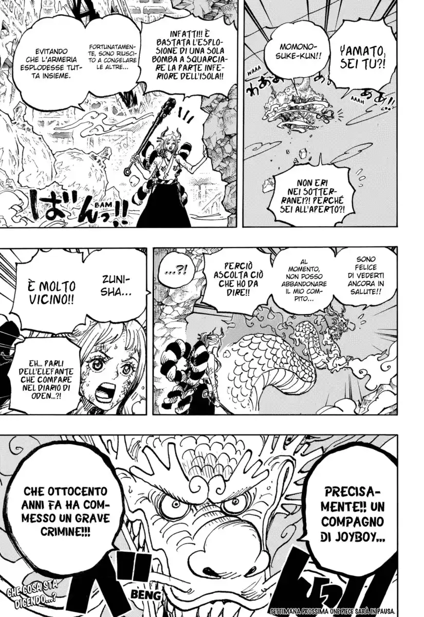 One Piece Capitolo 1040 page 13