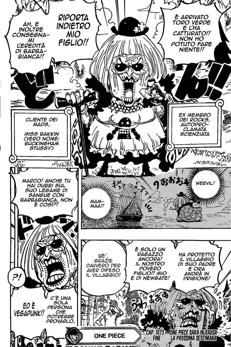 One Piece Capitolo 1073 page 15