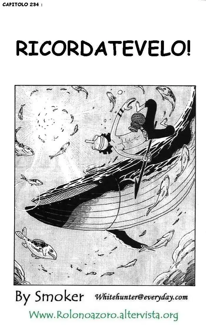 One Piece Capitolo 234 page 2