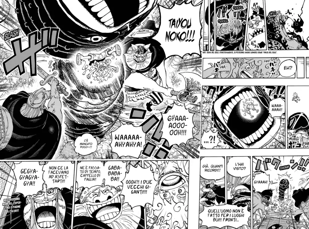 One Piece Capitolo 1110 page 13