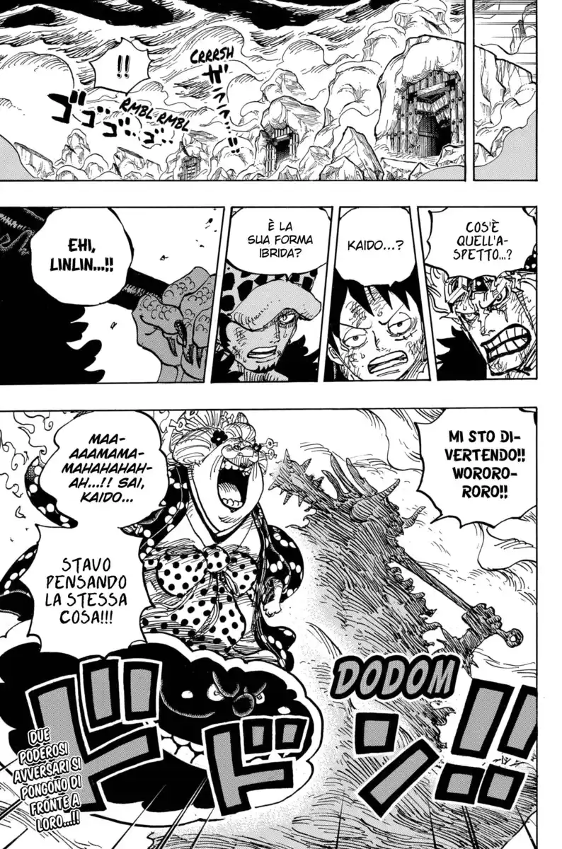 One Piece Capitolo 1003 page 14