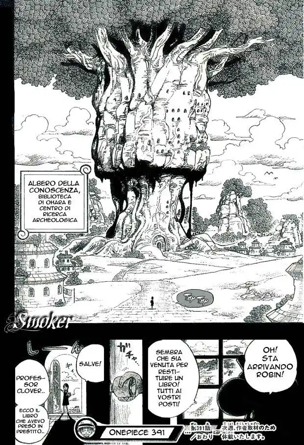 One Piece Capitolo 391 page 16