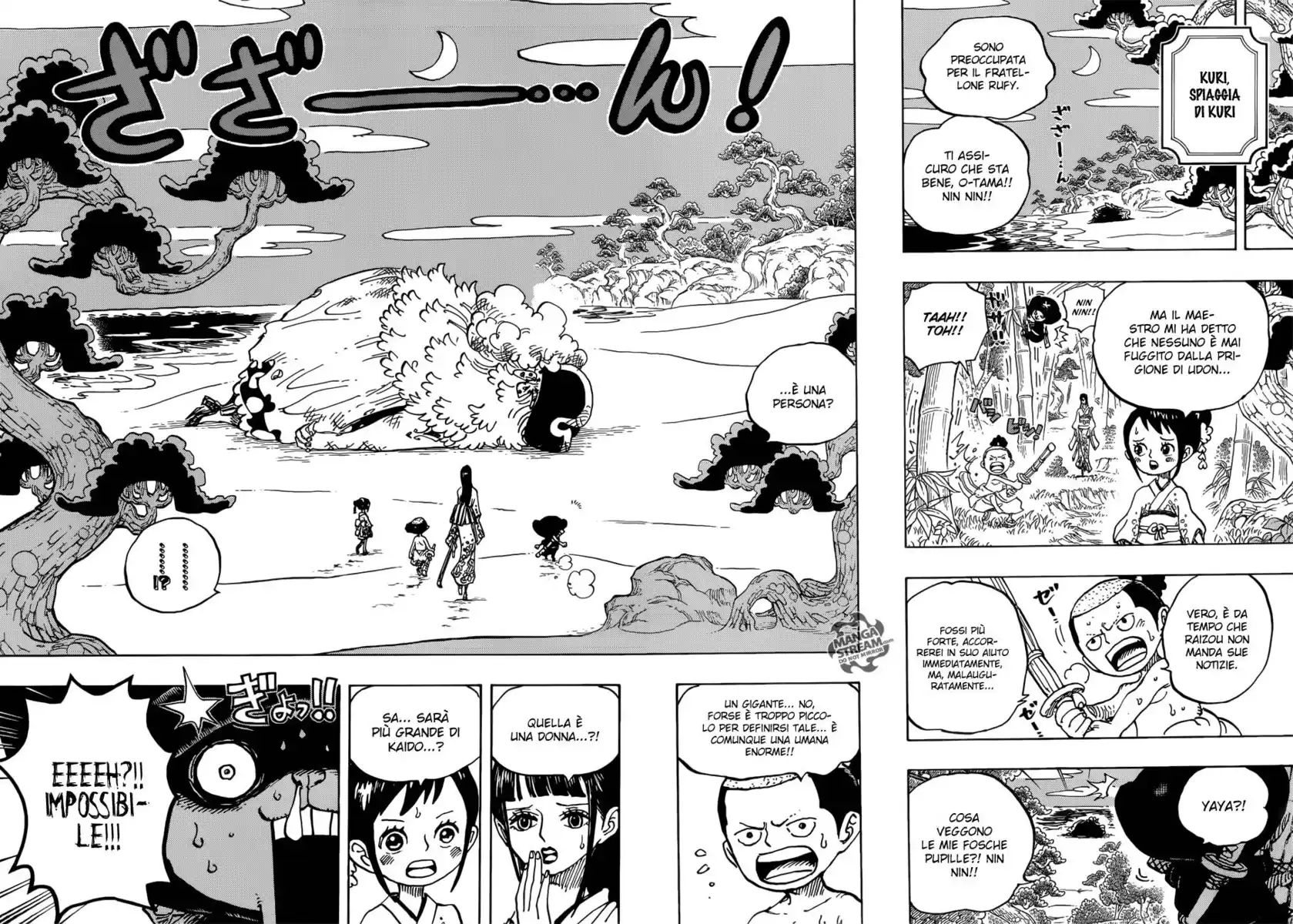 One Piece Capitolo 931 page 14