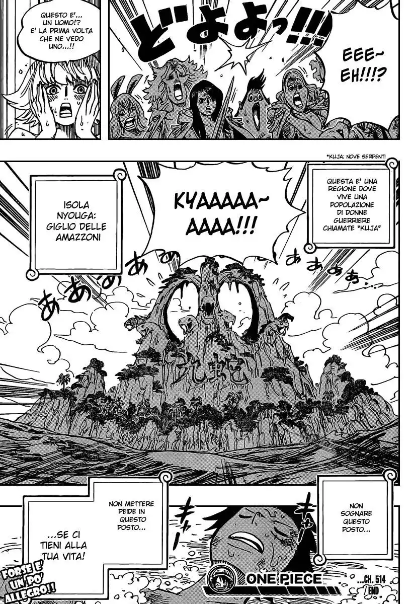 One Piece Capitolo 514 page 18