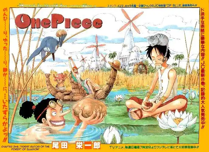 One Piece Capitolo 246 page 2