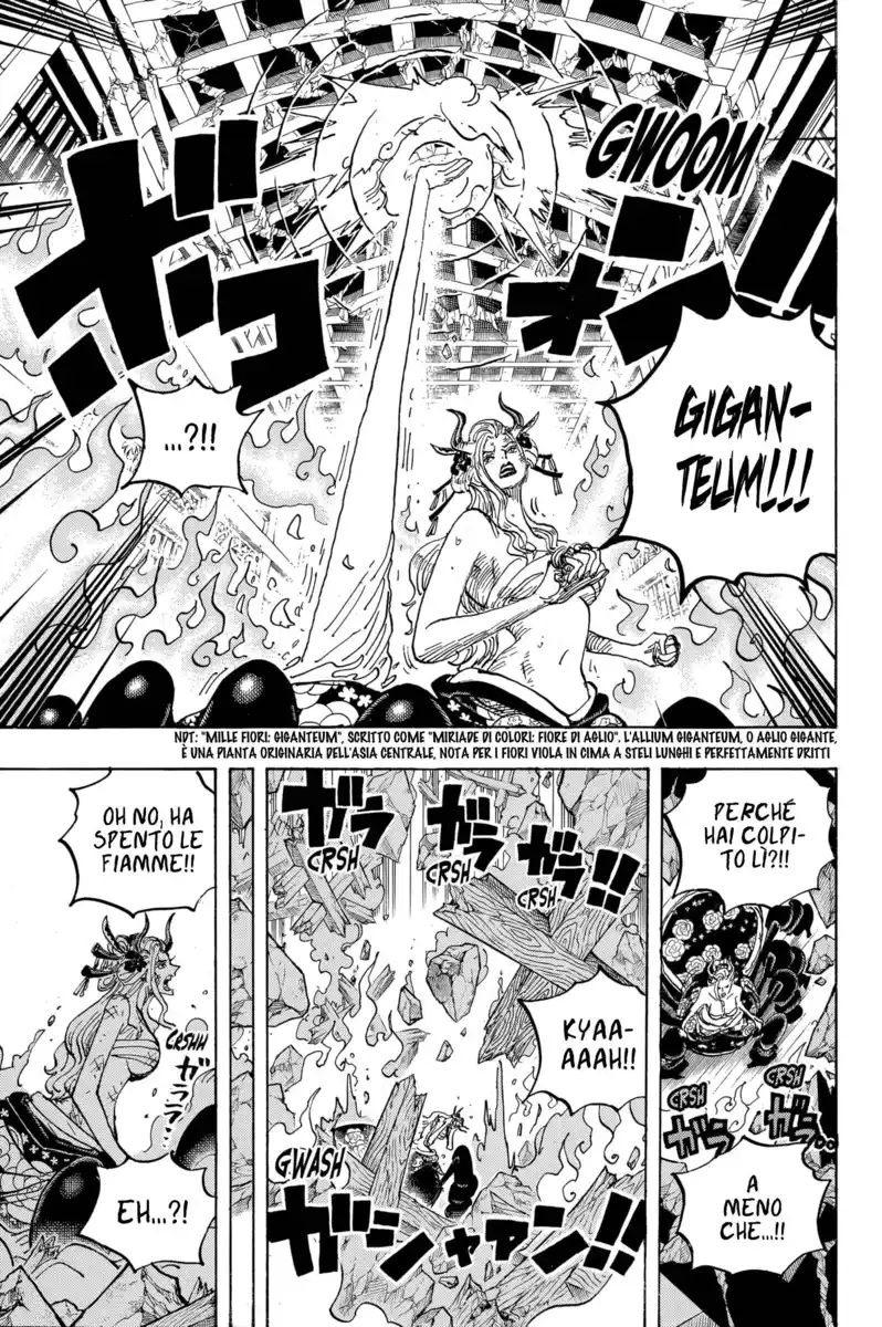 One Piece Capitolo 1021 page 13