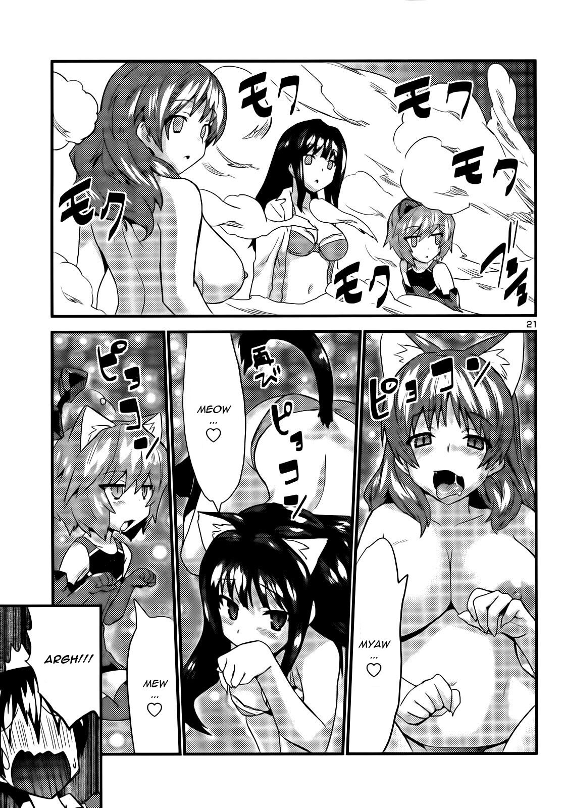 21