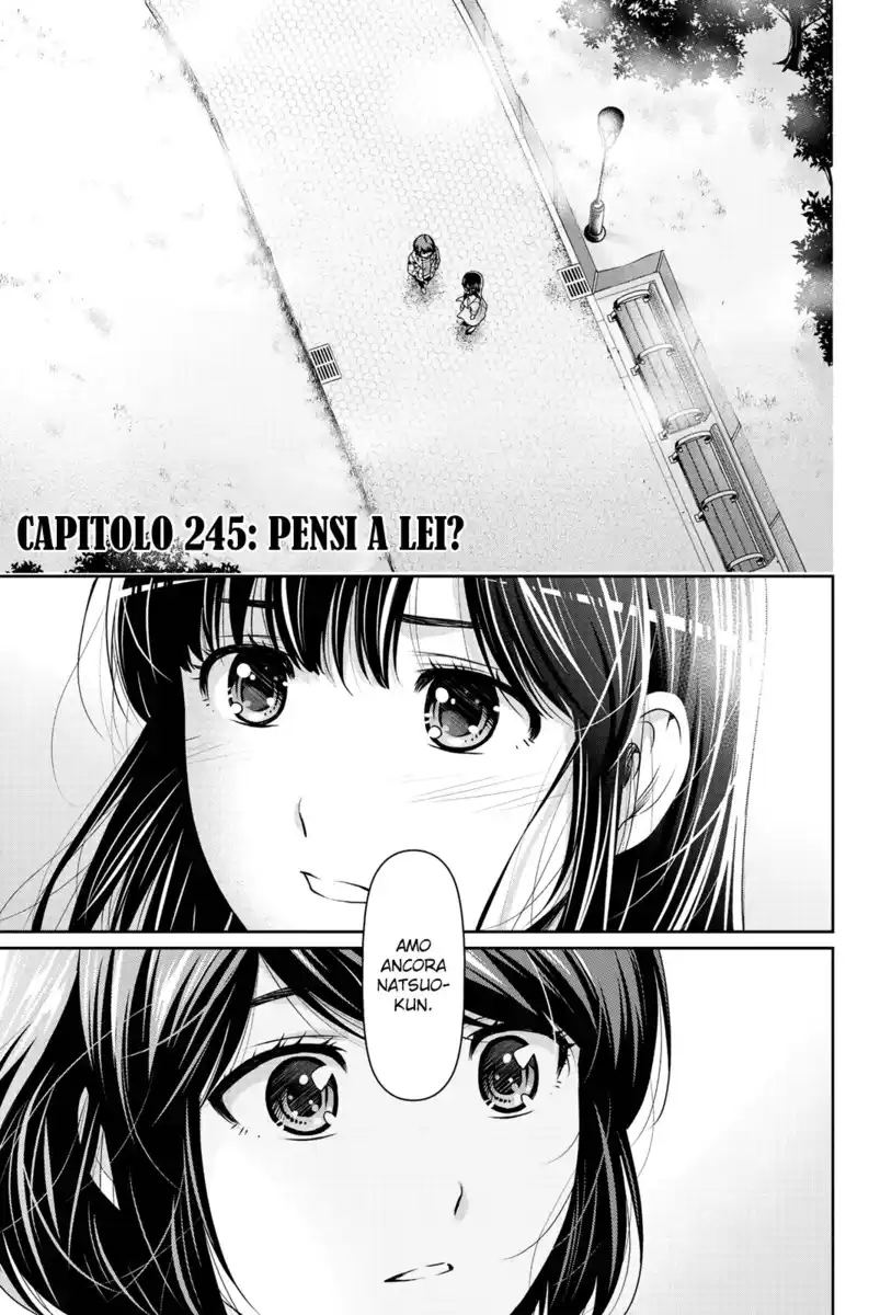 Domestic na Kanojo Capitolo 245 page 2