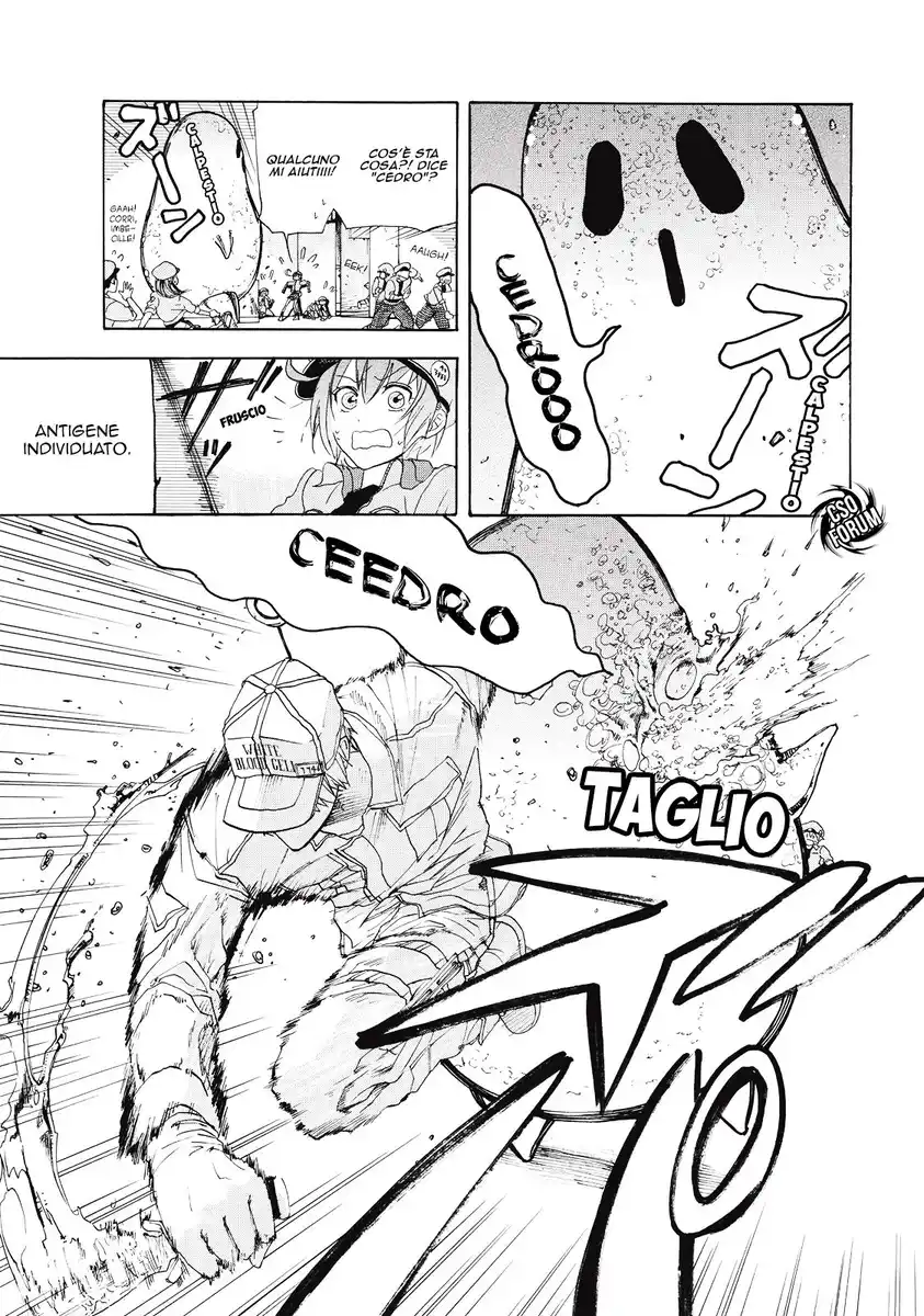 Hataraku Saibou Capitolo 02 page 8