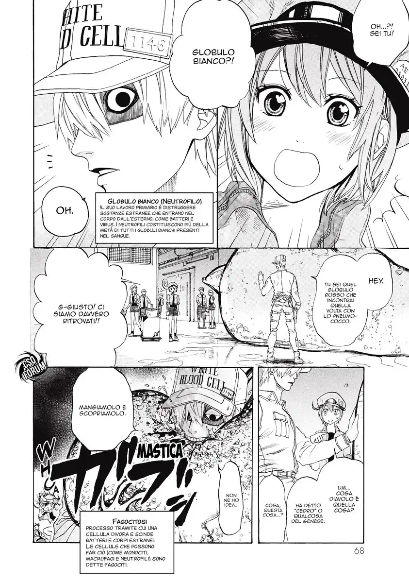 Hataraku Saibou Capitolo 02 page 9