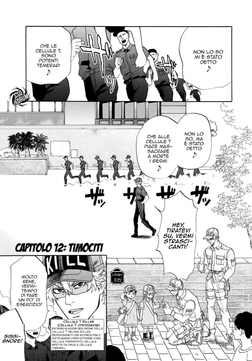 Hataraku Saibou Capitolo 12 page 2