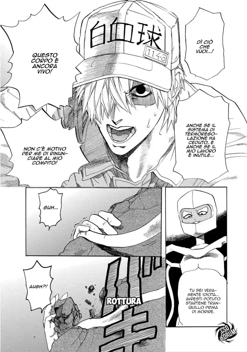 Hataraku Saibou Capitolo 06 page 23