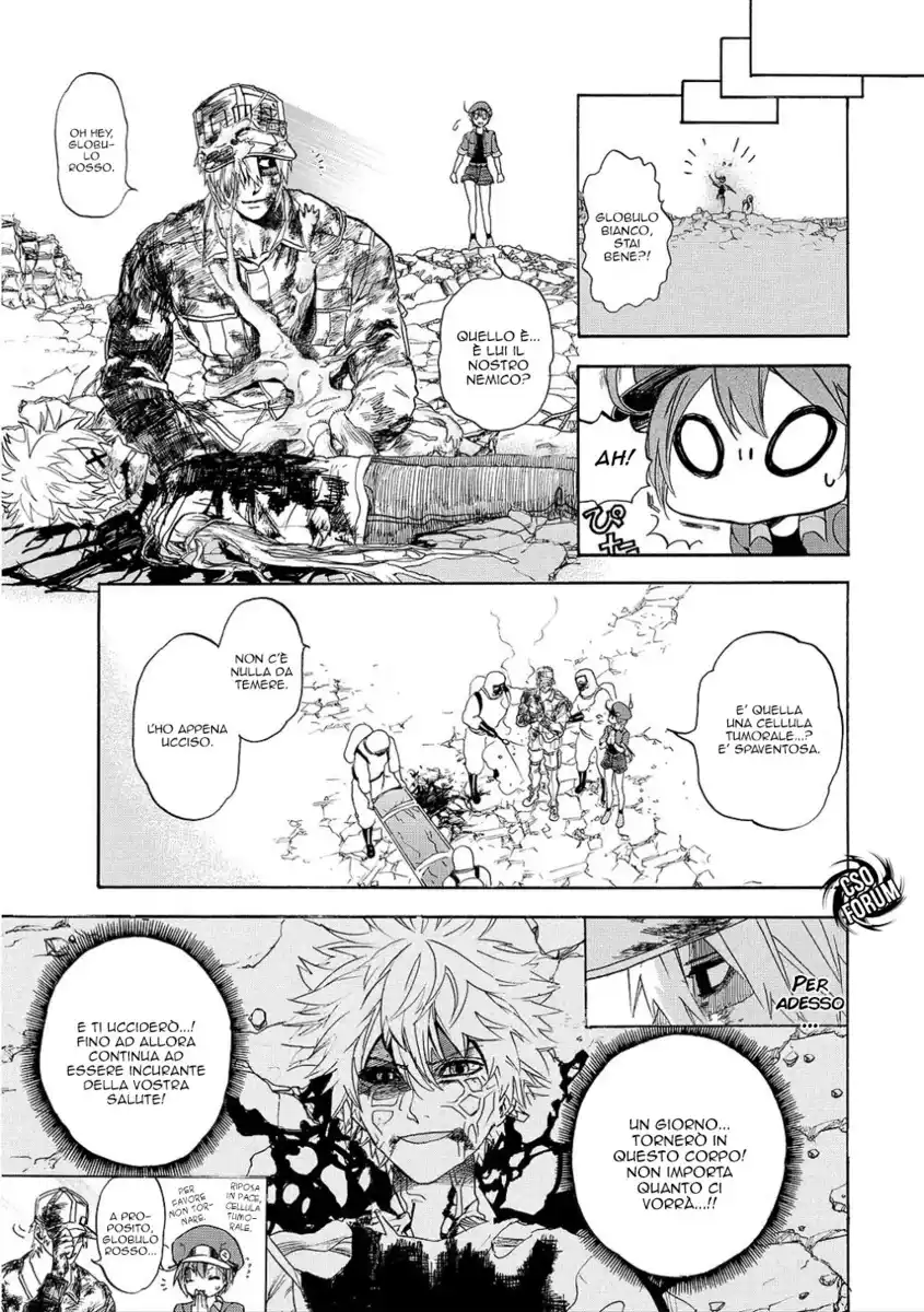 43