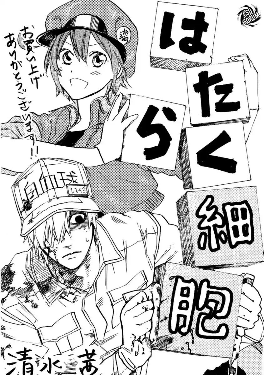 47