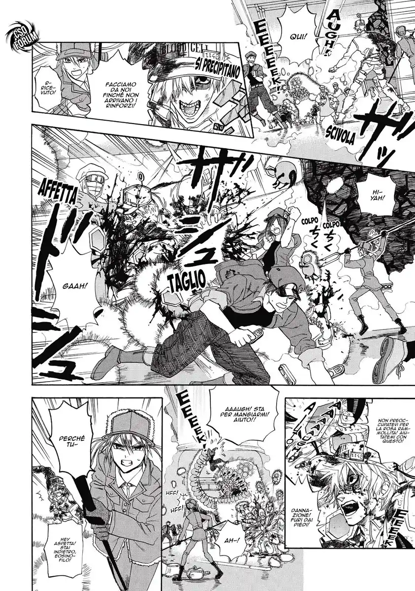 Hataraku Saibou Capitolo 05 page 16