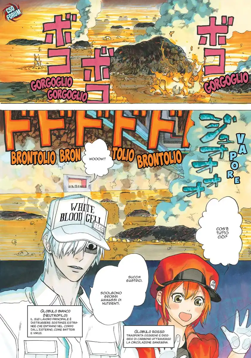 Hataraku Saibou Capitolo 05 page 6