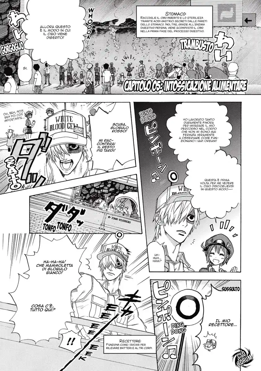 Hataraku Saibou Capitolo 05 page 7