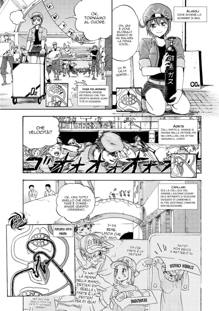 Hataraku Saibou Capitolo 10 page 18