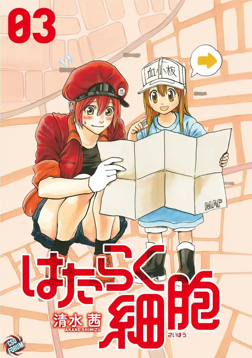 Hataraku Saibou Capitolo 10 page 4