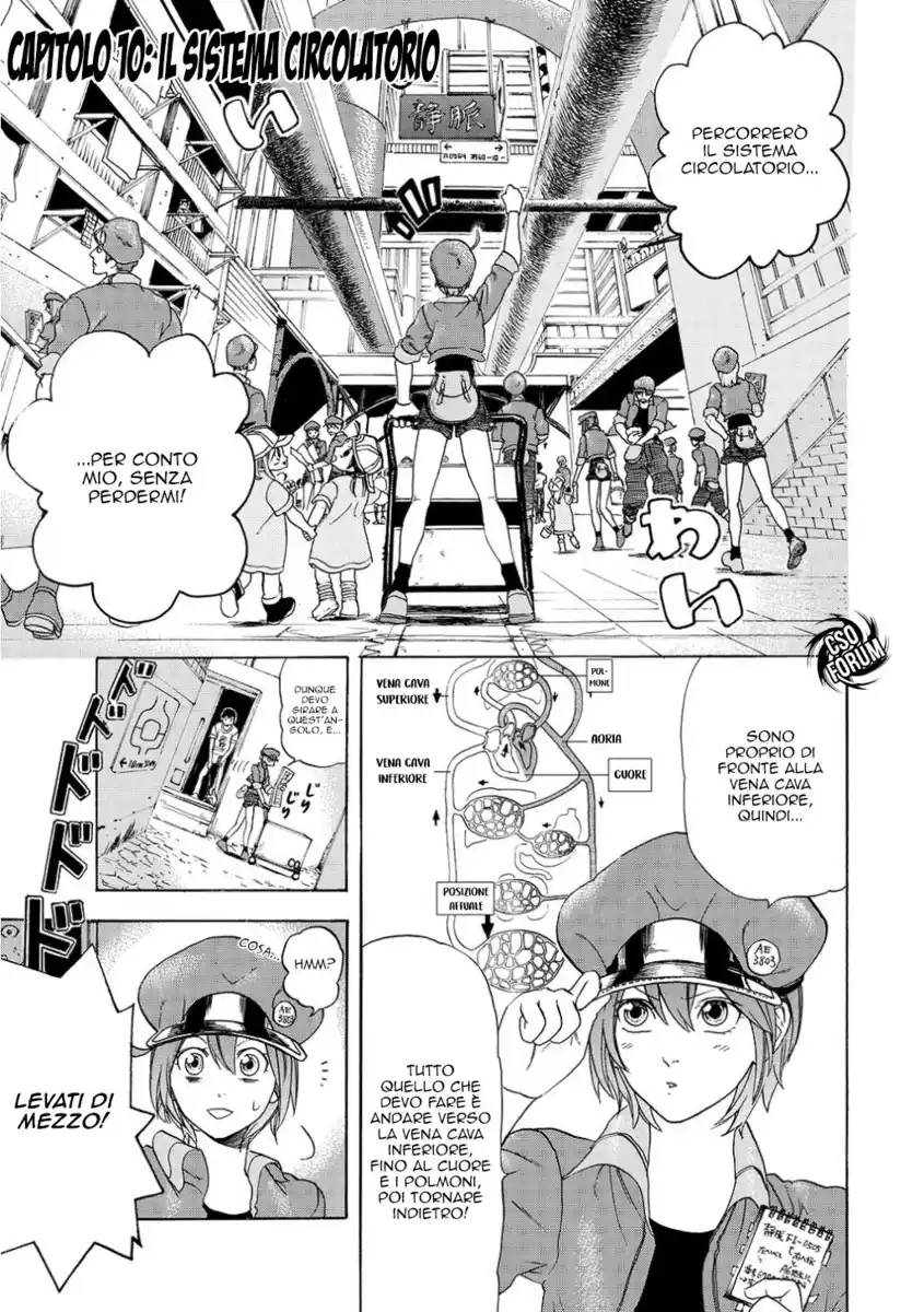 Hataraku Saibou Capitolo 10 page 6