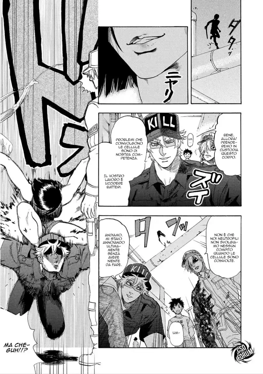 Hataraku Saibou Capitolo 08 page 6