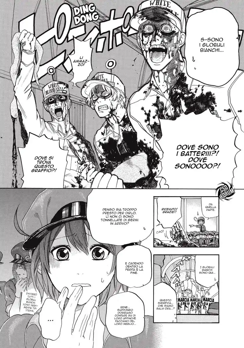 Hataraku Saibou Capitolo 04 page 15