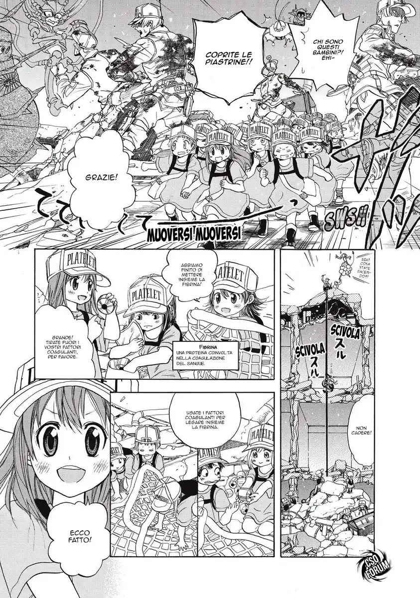 Hataraku Saibou Capitolo 04 page 28