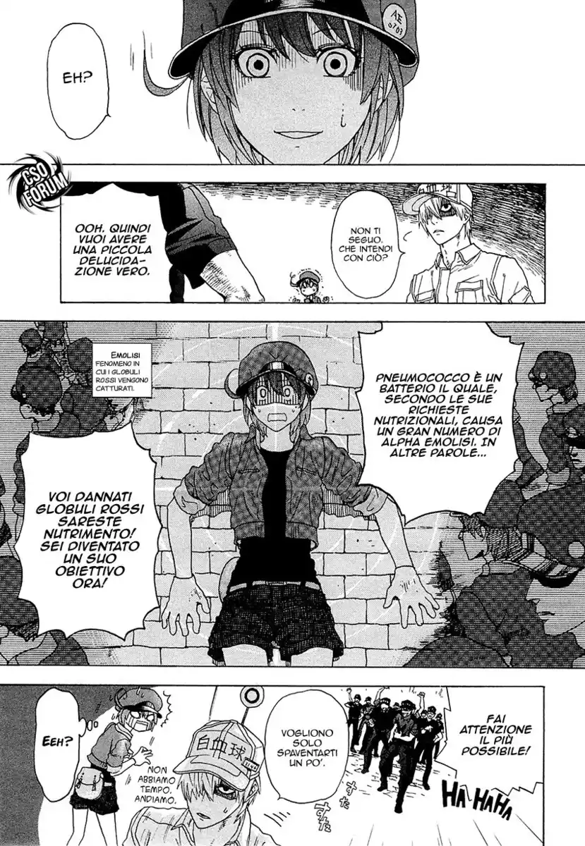 Hataraku Saibou Capitolo 01 page 31