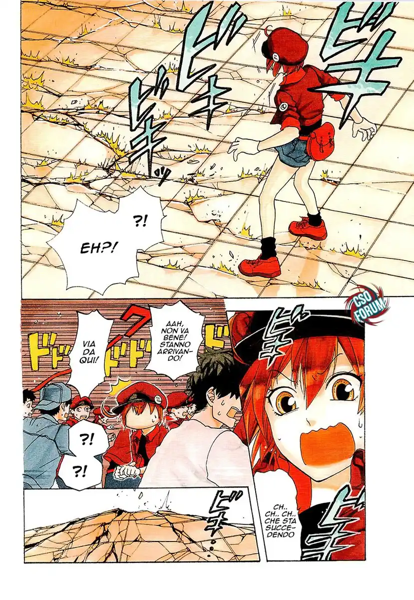 Hataraku Saibou Capitolo 01 page 8