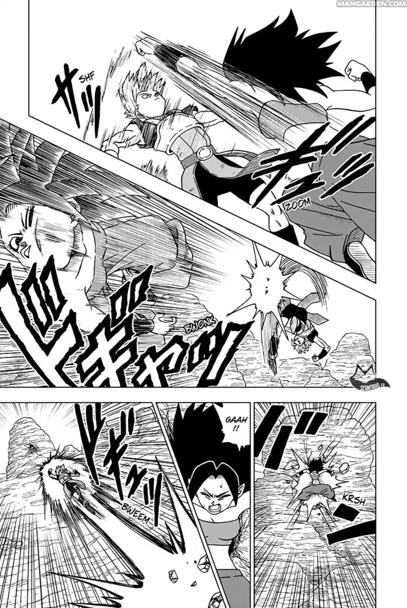 Dragon Ball Super Capitolo 32 page 14