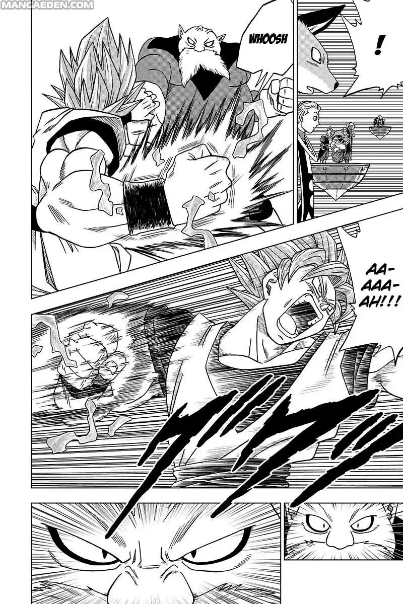 41