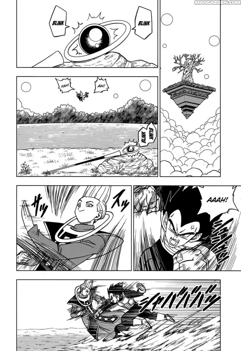 Dragon Ball Super Capitolo 27 page 13