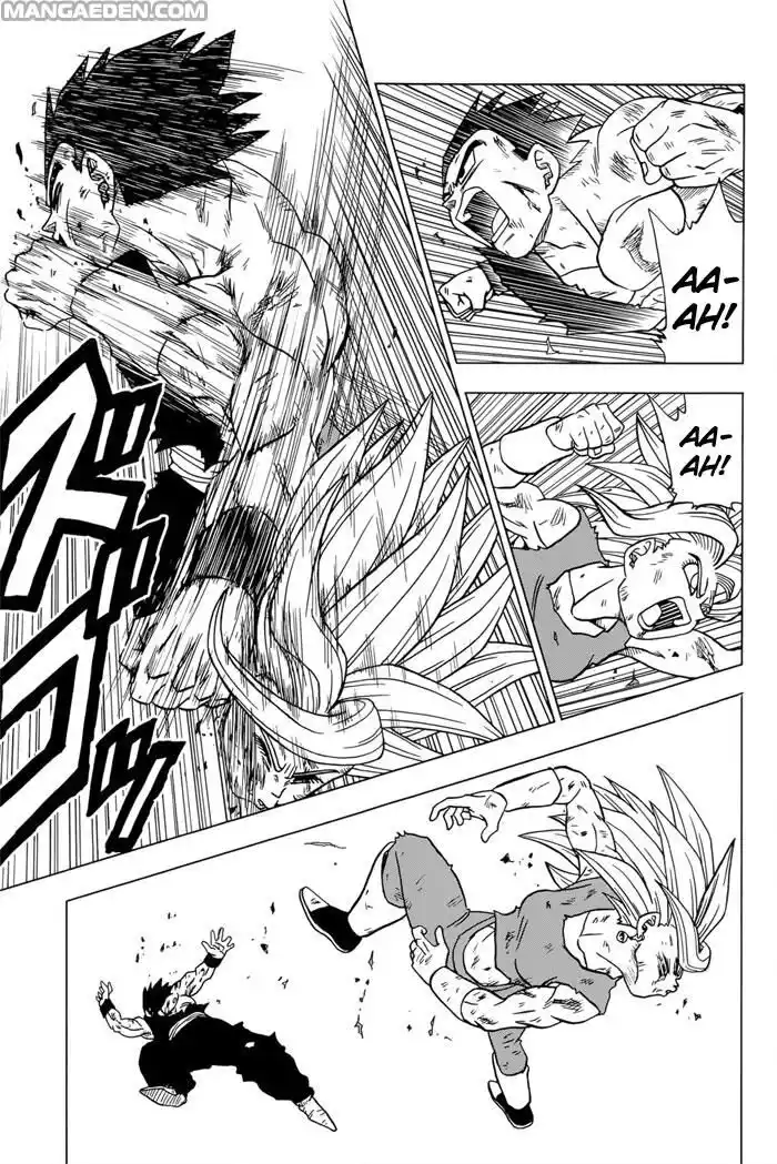 Dragon Ball Super Capitolo 39 page 14