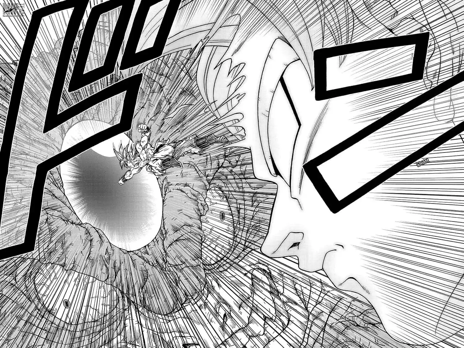 41
