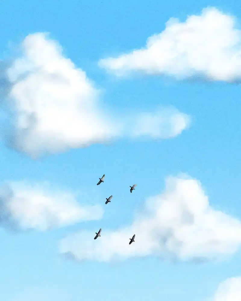 2