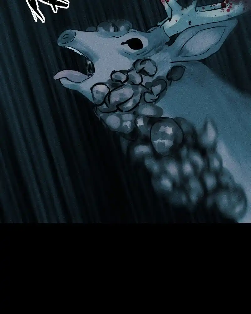 67