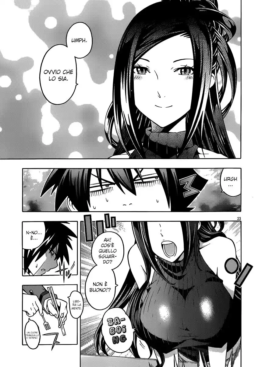 23
