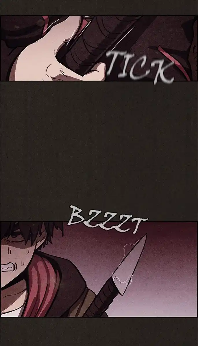 81